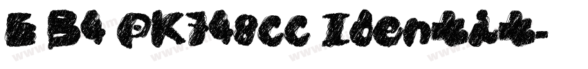 E B4 PK748cc Identit字体转换